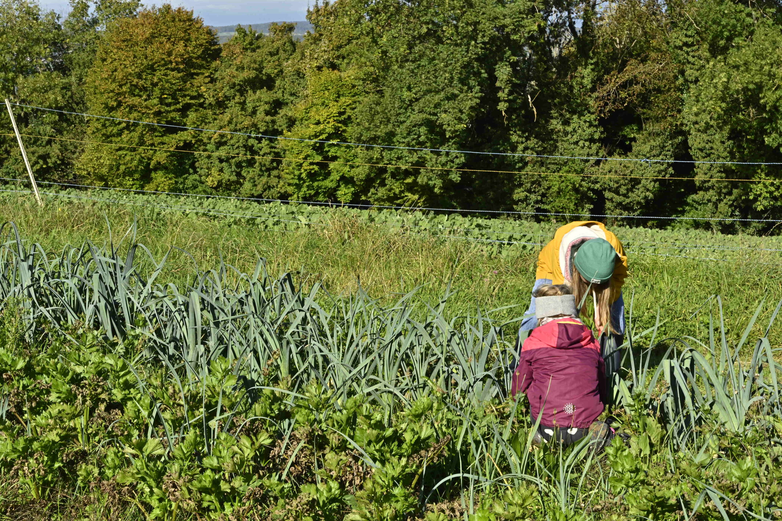 Kinder helfen gemeinsam auf dem Geisshof bei biocò